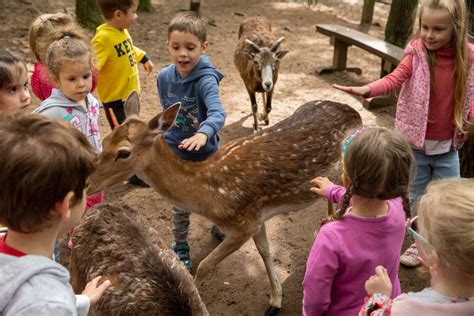 Pet zoo - Best Zoos in Mobile, AL - Tiny Tails Petting Zoo, Alabama Gulf Coast Zoo, Alligator Alley, Zoobeez Petting Zoo, Little Foot Farm, Brantley Farms Petting Zoo, Coastal Farms and Exotics, Emerson Farms, Uncle Joe's Rolling Zoo, Happy Bird Sanctuary 